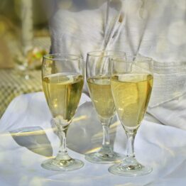Cavas y Champagnes
