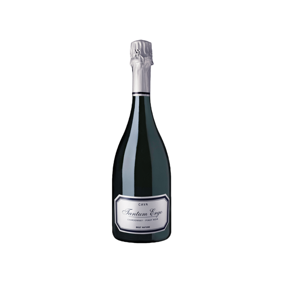CAVA TANTUM ERGO